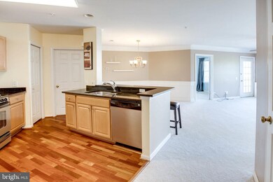 12451 Hayes Ct unit 203, Fairfax, VA 22033 - photo 7