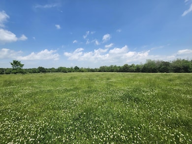 000 Wolfe, Mountain Grove, MO 65711 - photo 4