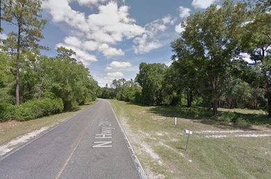 TBD N Highway 314 A, Silver Springs, FL 34488 - photo 3