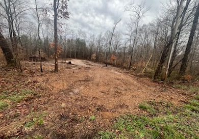 1 Forest Trail, Bumpus Mills, TN 37028 - photo 2