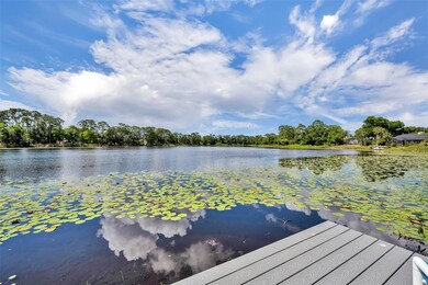LAKE MIRA