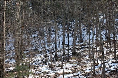 21 Deer Path, East Stroudsburg, PA 18302 - photo 3