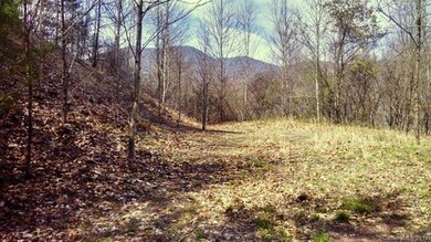 Upper edge of the lot has driveway potential that would come out level with the house-pad area. (The driveway at the bottom of the lot is too steep).
