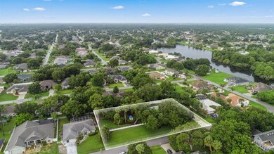 Double lot in town with an old Florida country set