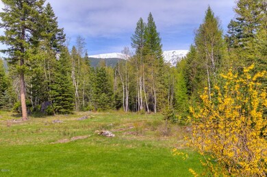 view from back patio