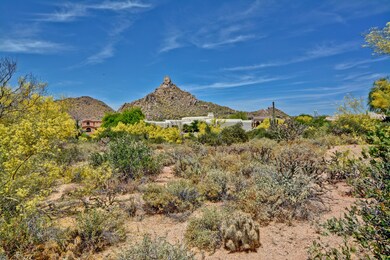 Pinnacle Peak View