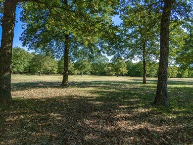 853 Sandy Hill Rd, Millsap, TX 76066 - photo 7