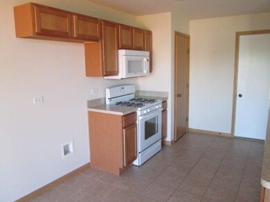 9913 Gettler St, Dyer, IN 46311 - photo 6