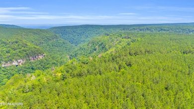 DJI_20250626030141_0217_D (1)
