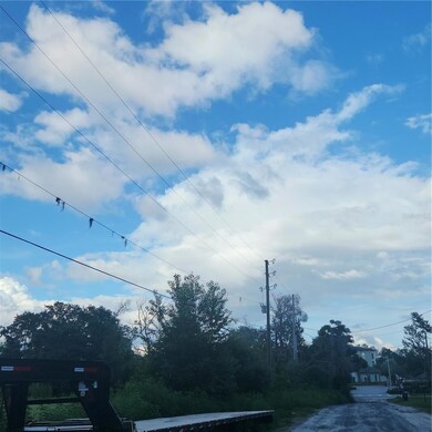 4137 New River Rd, Wesley Chapel, FL 33543 - photo 7