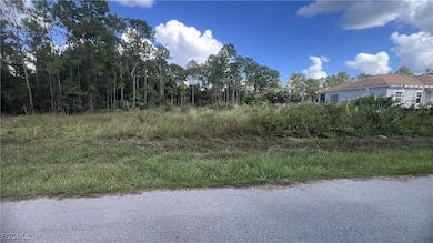 1206 Mcarthur Ave, Lehigh Acres, FL 33972 - photo 2