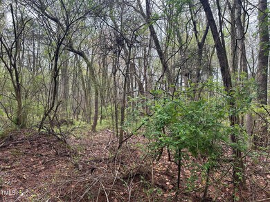 0 Moons Chapel Rd unit 10020399, Siler City, NC 27344 - photo 4