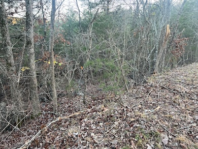 790 Pomme de Terre Rd, Scott Township, MO 65616 - photo 6