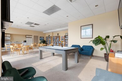 28 Allegheny Ave unit 2606, Towson, MD 21204 - photo 4