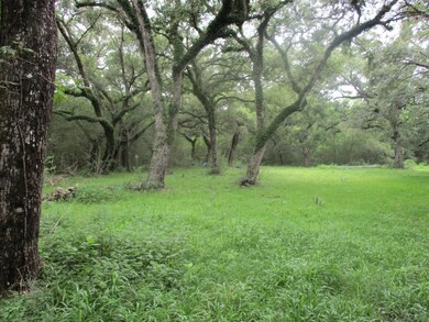 0 Private Road 648 Cedar Lake St unit 76367767, Cedar Lake, TX 77414 - photo 5