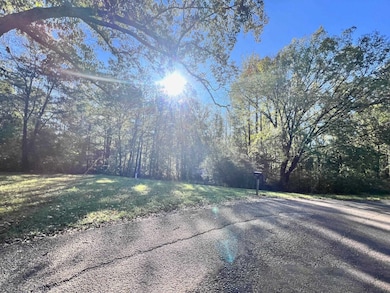 0 Cemetery Rd, Michie, TN 38357 - photo 7