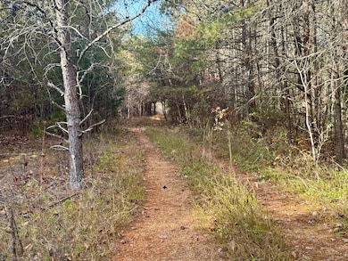 000 Sun Hill Way, Parrottsville, TN 37843 - photo 4