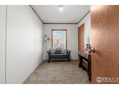 4213 Mesquite Ln, Evans, CO 80620 - photo 6