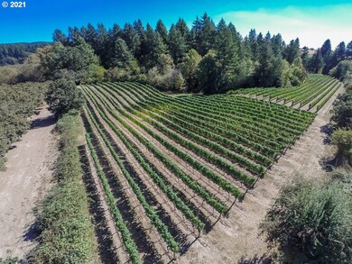 6975 NE Abbey Rd, Carlton, OR 97111 - photo 2