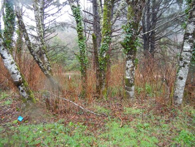 Lot from street