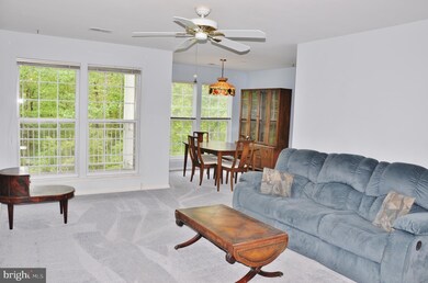 5325 Wagon Shed Cir, Owings Mills, MD 21117 - photo 5