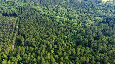 Sparks Lane SC Land for Sale-5