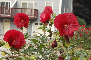 4 Highbridge Hill Rd unit 172, Nashua, NH 03063 - photo 4