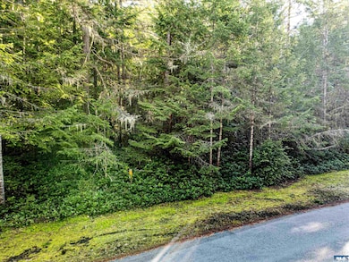 9999 Hunt Rd, Port Angeles, WA 98363 - photo 7