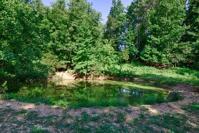 1 Shoal Creek Rd, Goodspring, TN 38460 - photo 4