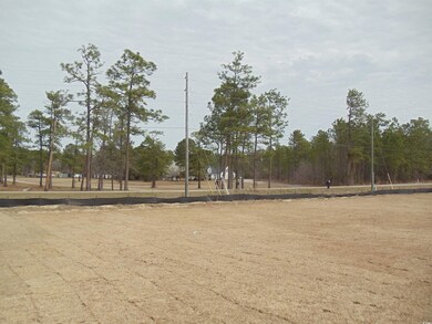 View of home's community