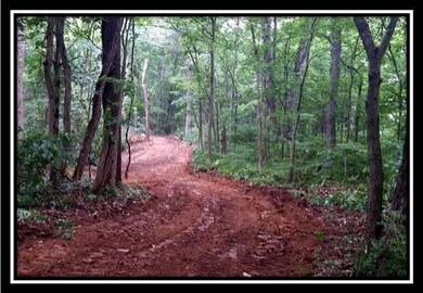 35681 Moore Rd, Union Furnace, OH 43158 - photo 4