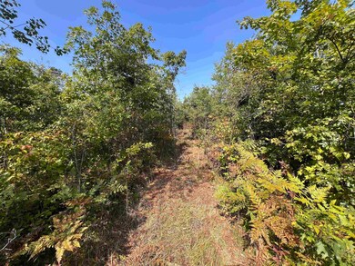 0 Parkway Rd, Beaver, WI 54114 - photo 4