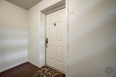 50 Plymouth Ct unit 5102B, Naperville, IL 60565 - photo 3