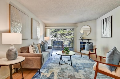 377 Mandarin Dr unit 204, Daly City, CA 94015 - photo 2