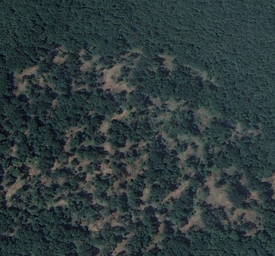 0 Arkansas 265, West Fork, AR 72774 - photo 5