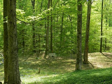 Exterior Back. Nestled on the hillside.  Very private backyard