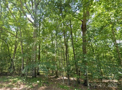 112 Sandy Point Dr, Shelby, NC 28150 - photo 4