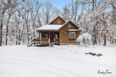 287 Hayes St, Bitely, MI 49309 - photo 3