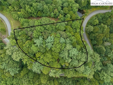 Lot L3 Woodlake Loop Rd, Elk Park, NC 28604 - photo 3