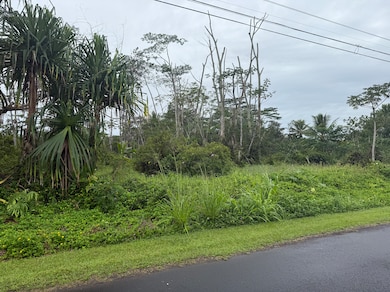 0 Awa St unit 725782, Hawaiian Beaches, HI 96778 - photo 2