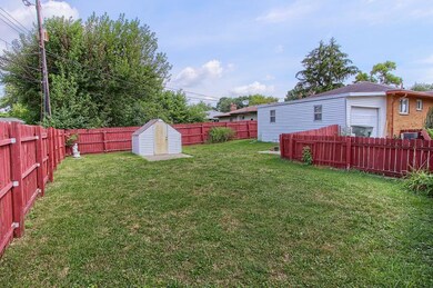Backyard 3