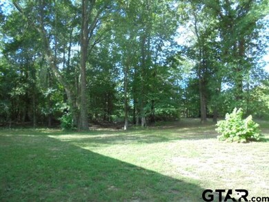 6717 6717 County Road 233, Tyler, TX 75707 - photo 2