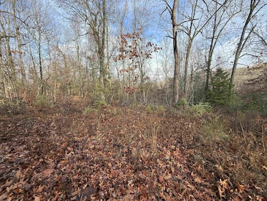 549-00828-000 Dogwood Dr, Omaha, AR 72662 - photo 2