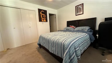 Carpeted bedroom with a closet