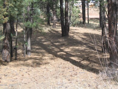 Fresh Pine Scent