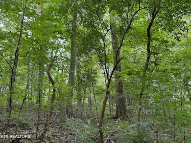 2571 Bellview Rd, Pikeville, TN 37367 - photo 5