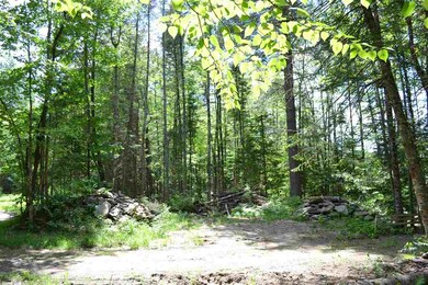 1142 Mines Rd, Lowell, VT 05847 - photo 7