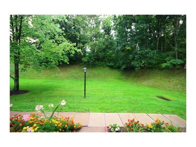 Yard/Garden.