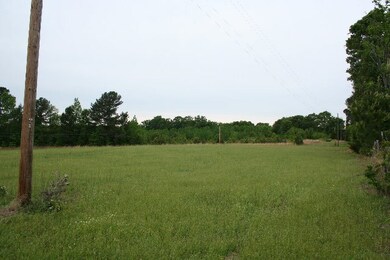 0 Augusta Highway 47, Lincolnton, GA 30817 - photo 4