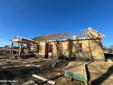 400 Creeks Edge Dr, Pikeville, NC 27863 - photo 5